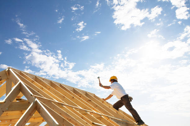 Best Rubber Roofing (EPDM, TPO)  in Lake In The Hls, IL